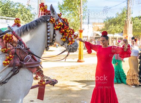 Rumba de Jerez: Une mélancolie joyeuse embrasée par une fureur flamenco énergique